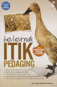 Beternak Itik Pedaging