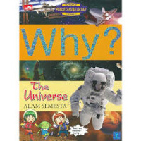 Why? The Universe